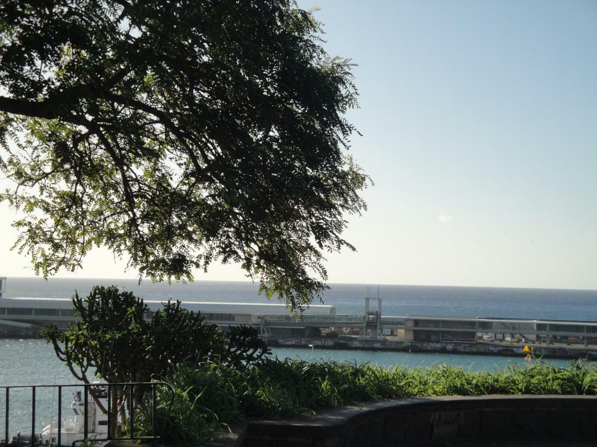 Violeta House Villa Funchal  Kültér fotó