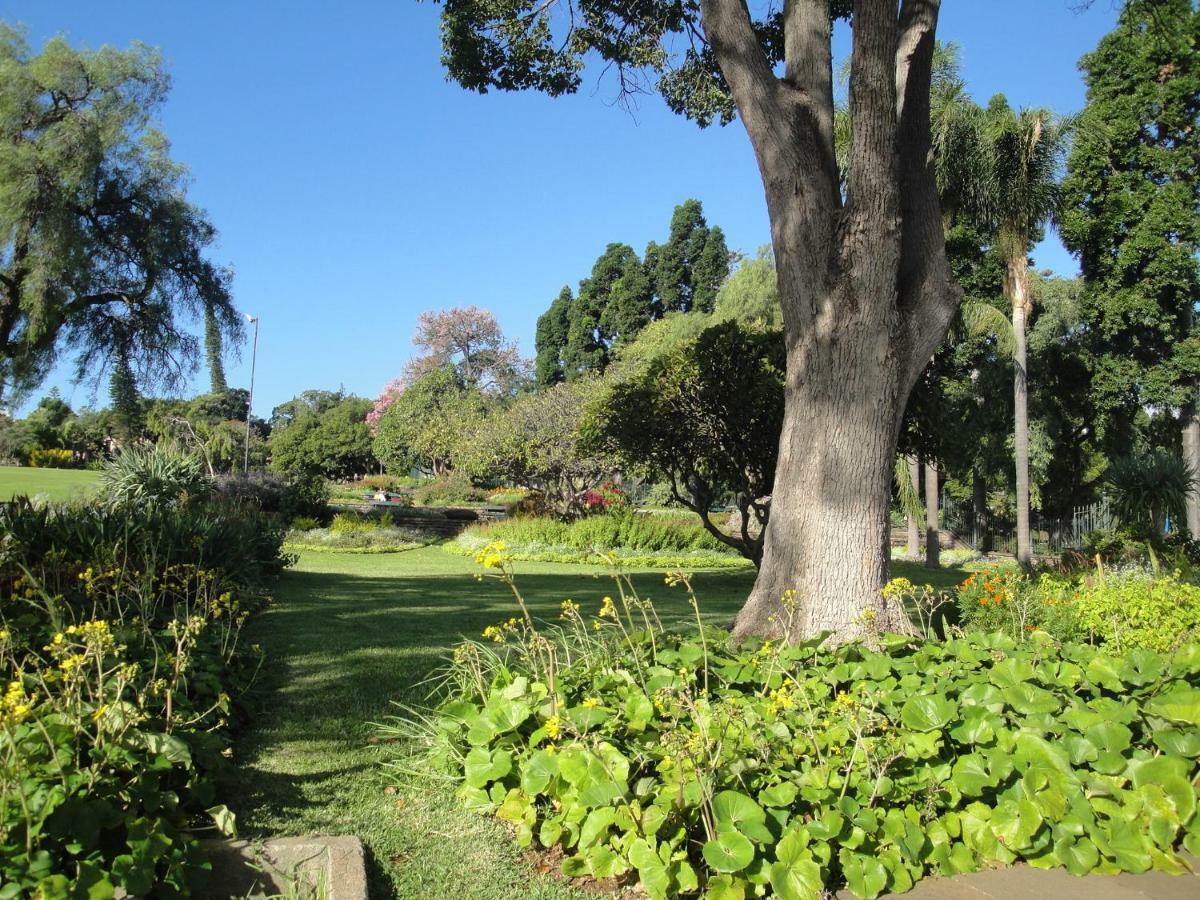 Violeta House Villa Funchal  Kültér fotó