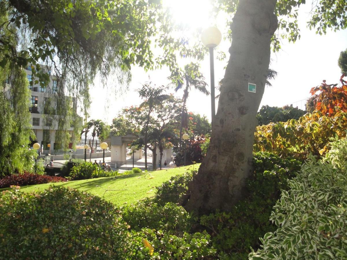 Violeta House Villa Funchal  Kültér fotó
